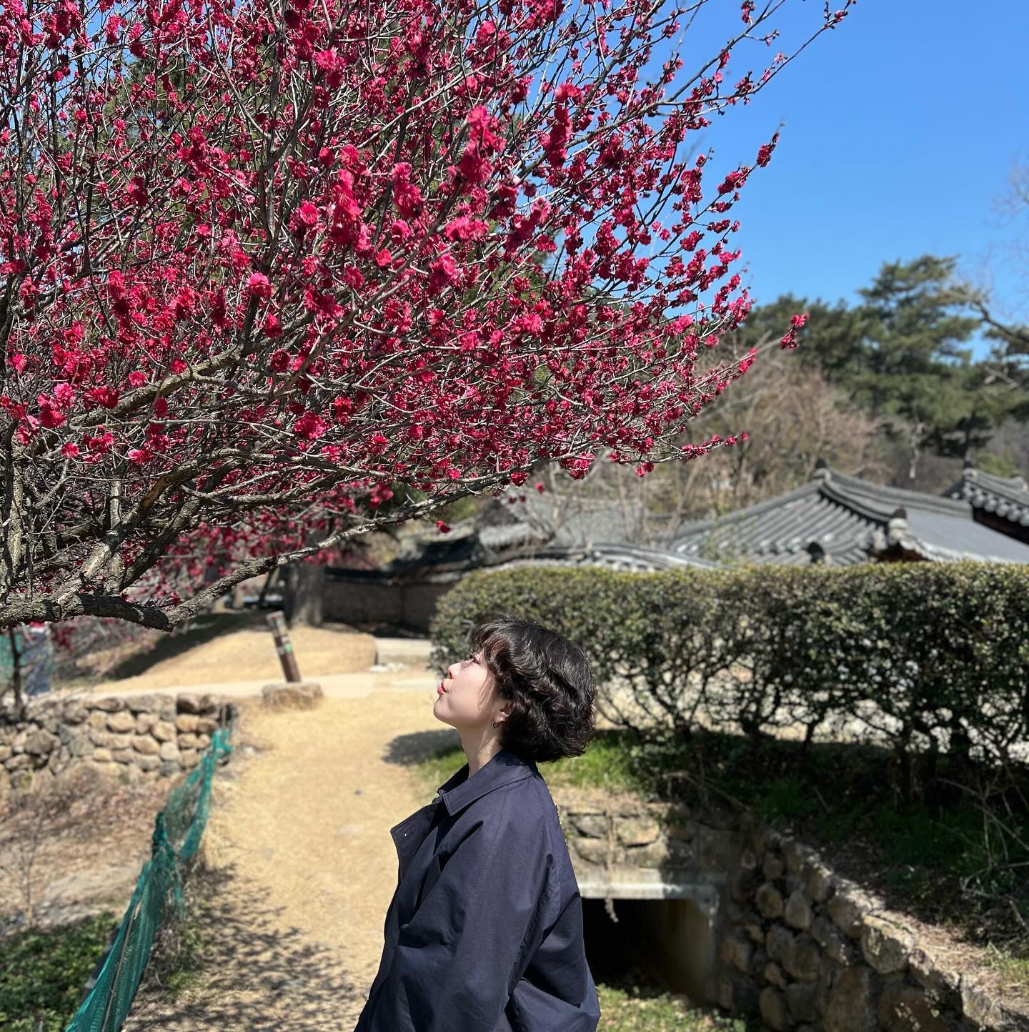 매화향기 가득🌸🩷
너무 예쁘고 고즈넉한 곳