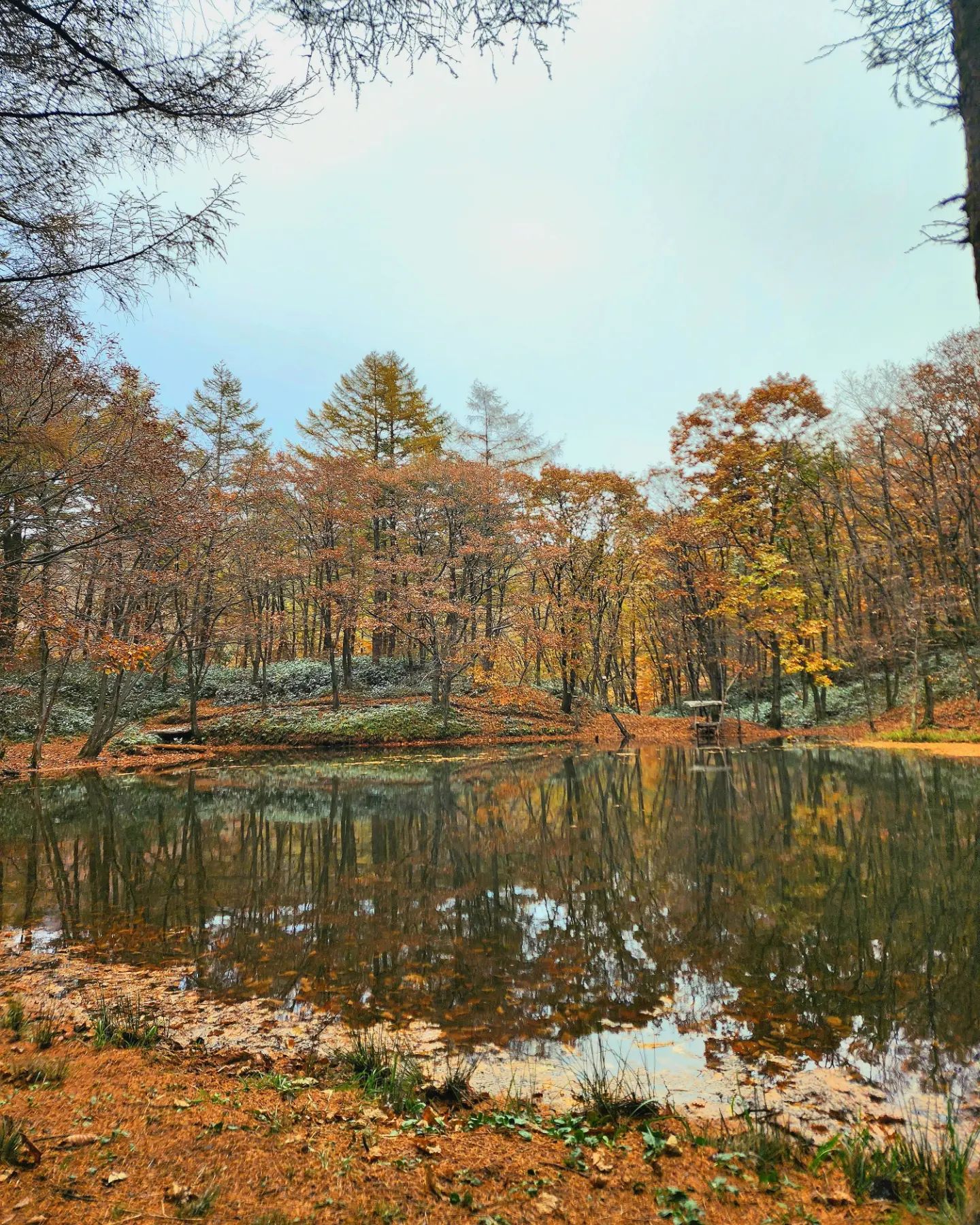 🏞

다음번엔 백패킹으로!