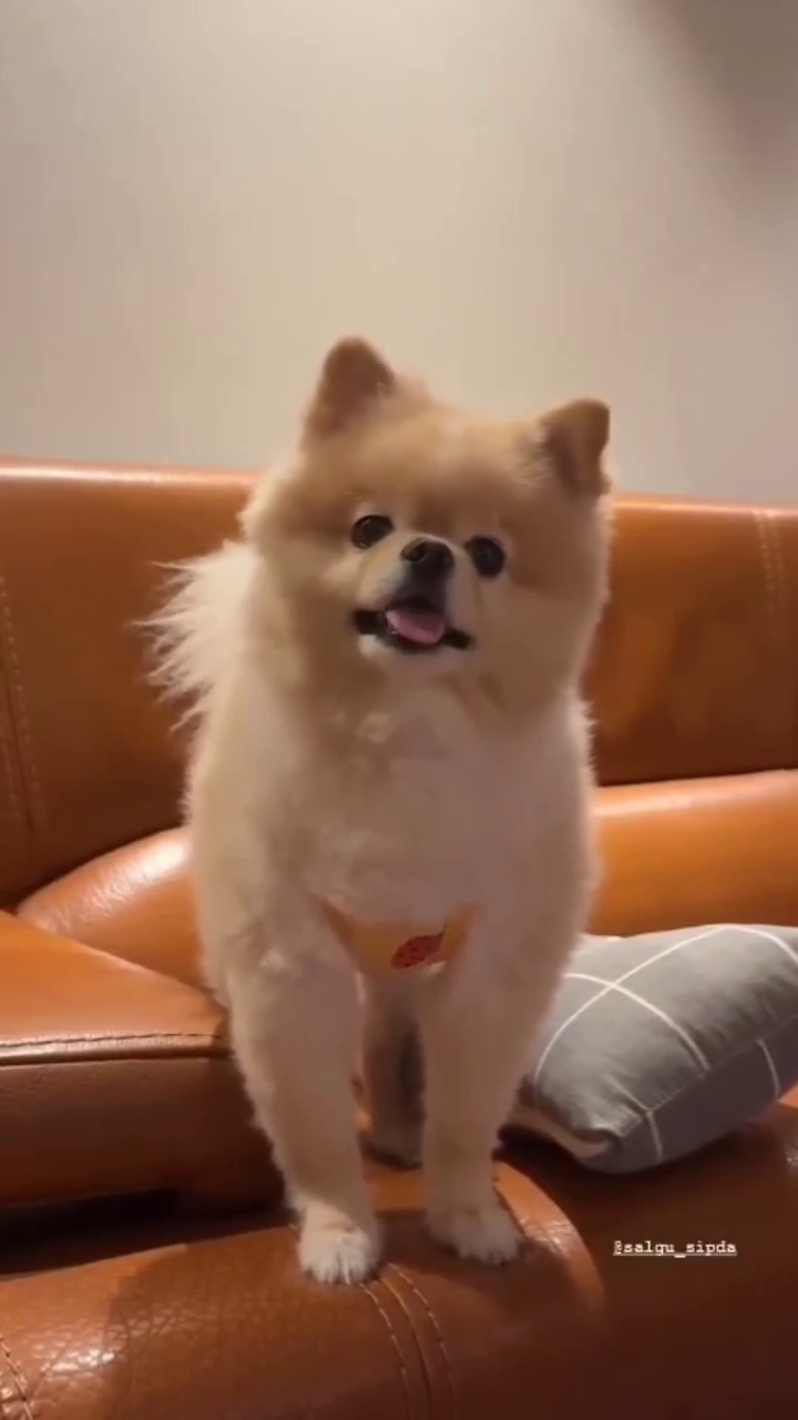 콘텐츠