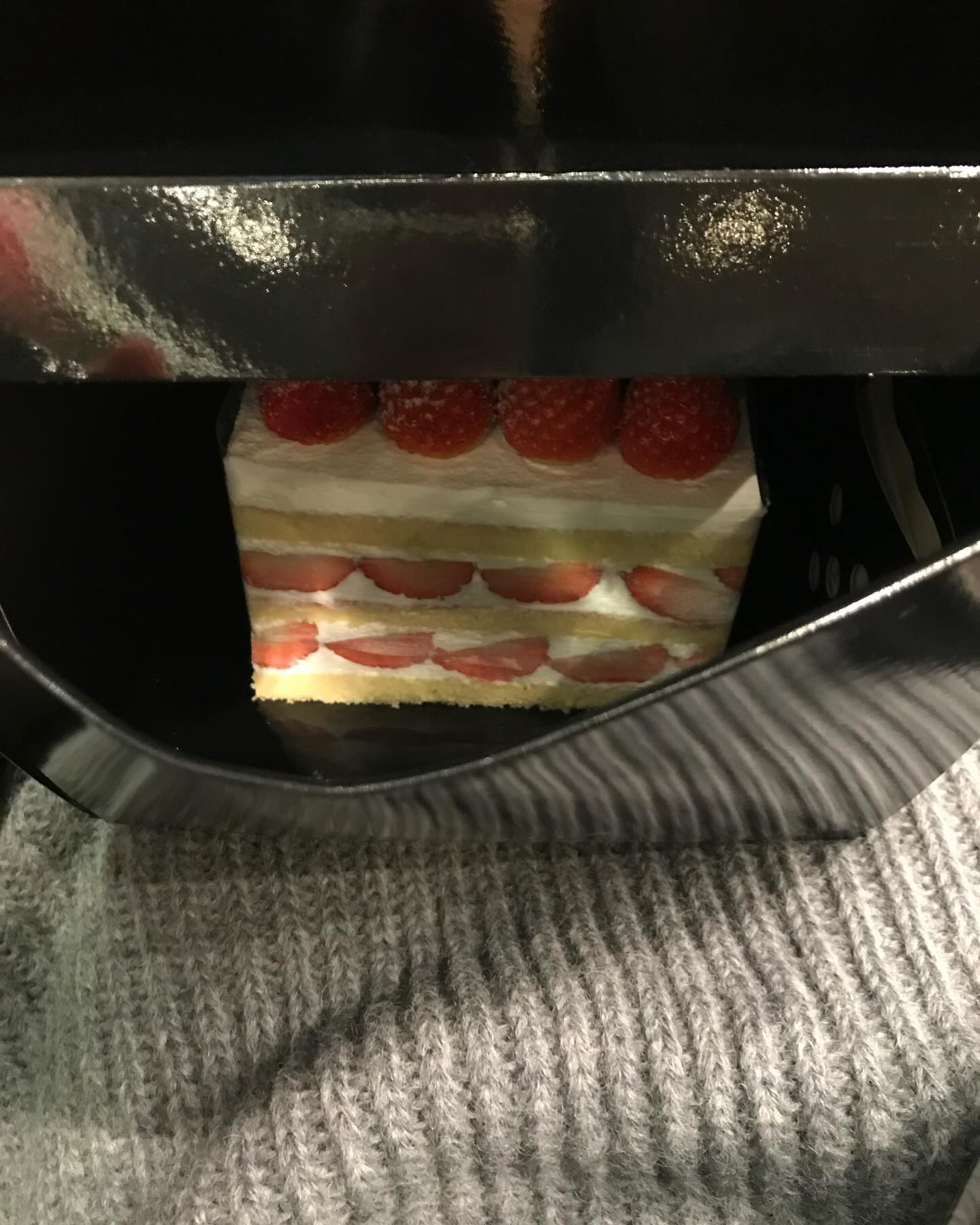 라이언 딸기 구하기 성공🎄🍓🎅🏻