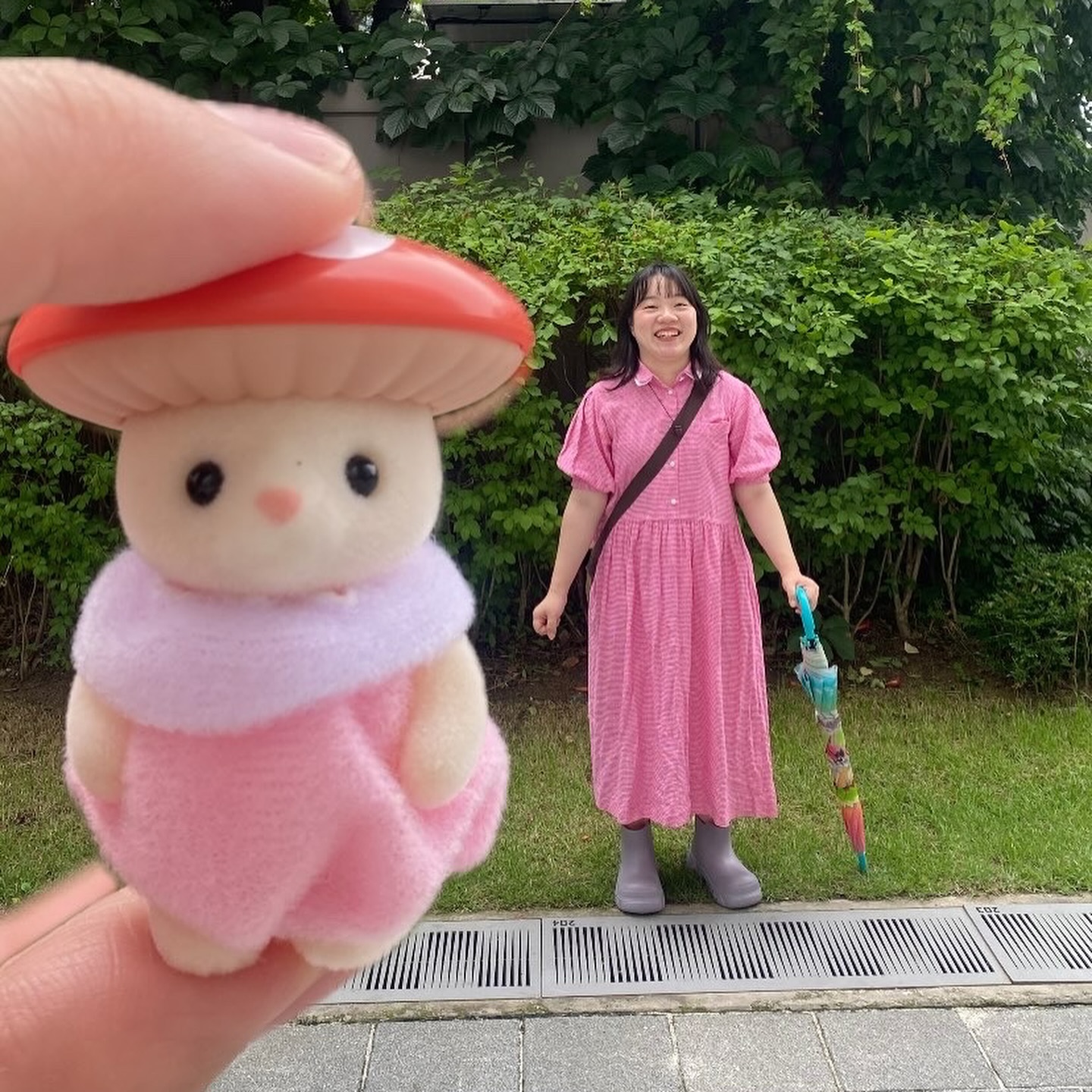 남자친구가 뽑아준 귀여운 실바니안 버섯!!!
갖고싶었던 버섯 모자 쓴 고양이가 나와서 너무 행복했어용 ~~ 🍄