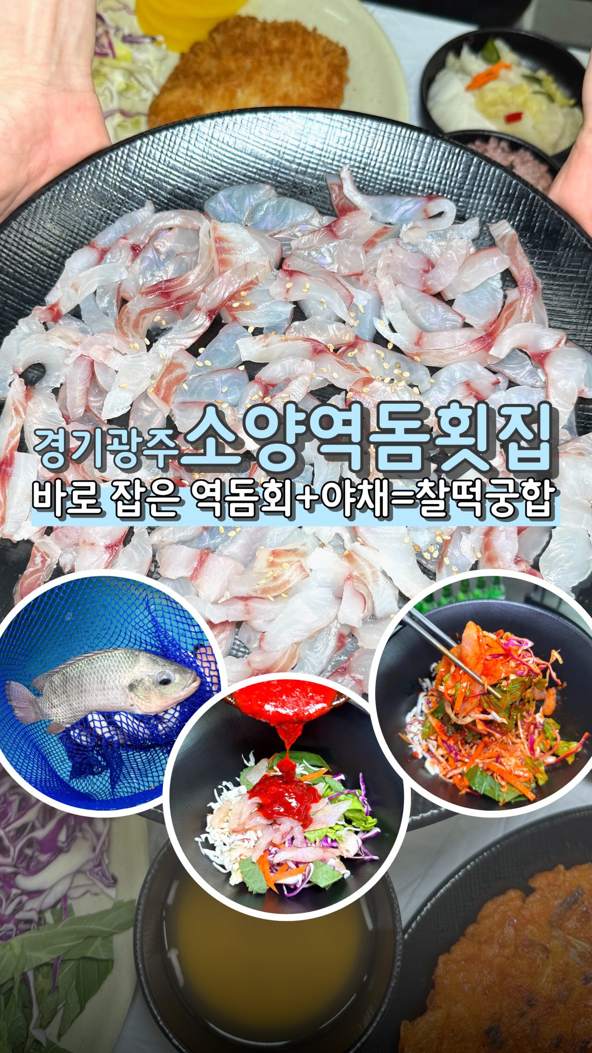 콘텐츠