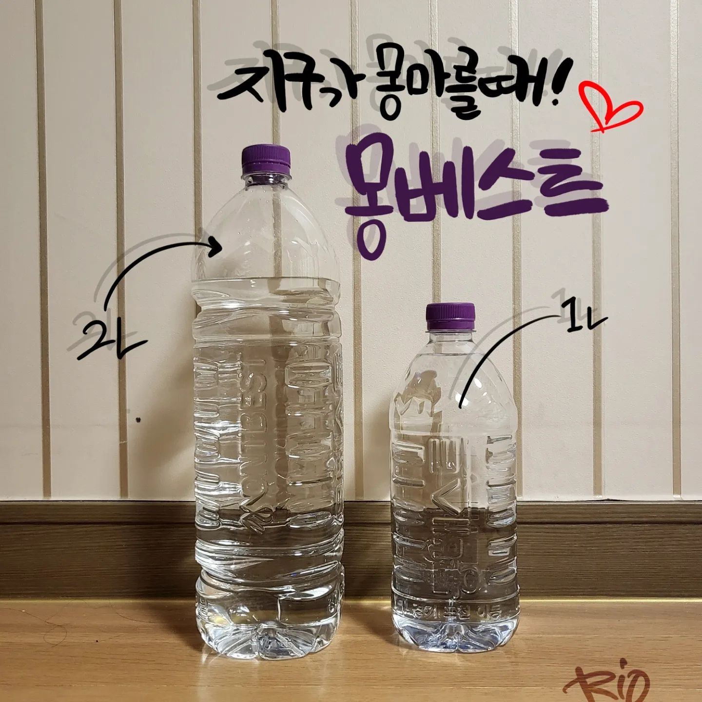 #할인구매 montbest #몽베스트 #몽베스트위드어스
애정하는 생수 몽베스트
.
평소에도 몽베스트 2L~300ml까지 다양한 용량이 있는 데 평소 500ml는빨리 마셔버려서 다시 구매해야하는 경우가 종종 있었는데 1L를 체험해보니 휴대성도 좋고 야외로 가지다닐 때 적당한 용량이라서 자주 이용할 것 같아요. 몽베스트는 화강암반층의 자연적 여과과정을 거치며 미네랄이온 포함되어있어서 물 맛이 좋은 물이예요.
.
실제로 2년 연속 ITI(국제식음료품평원 “국제 우수 미각상”)최고등급 3stars 수상내역을 가지고 있으며 
공인인증 (FSSC22000, NSF,ISO9001) 등 정기수질 성적검사를 박은 믿을수 있는 제품이라 믿을 수 있죠.
.
생수 라벨을 제거하고 환경성적표지에 참여하는 친환경 기업이예요.
평소에도 주문해서 마시는 브랜드라서 익숙했지만, 리뷰를 통해 장점들을 자세하게 알 수 있었어요.
생수브랜드를 고민하고 계신다면 [몽베스트]를 추천해드립니다.
.
현재 11번가에서도 판매 중이예요.
http://www.11st.co.kr/products/5229834530
#지구가몽마를때 #몽베스트무라벨 #무라벨생수 #라벨프리생수 #안전한생수 #깨끗한물 #제로웨이스트 #프리미엄생수 #포항캘리 #대구#글스타그램 #공감글 #daily #일상 #캘리그램 #캘리스타그램 #디지털캘리 #프로크리에이트 #감성충전 #아이패드프로3세대