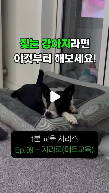 콘텐츠