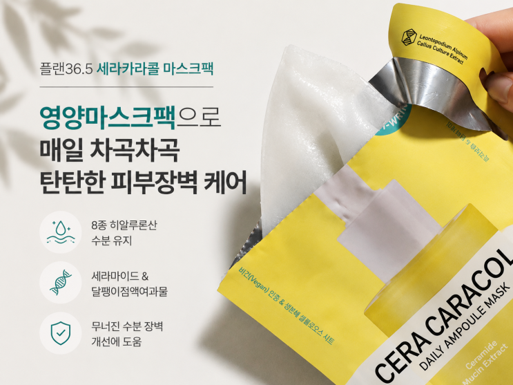 영양마스크팩 없으면 불안한 30대 초반 여자 1일1팩 플랜36.5 데일리 세라카라콜 마스크팩 후기