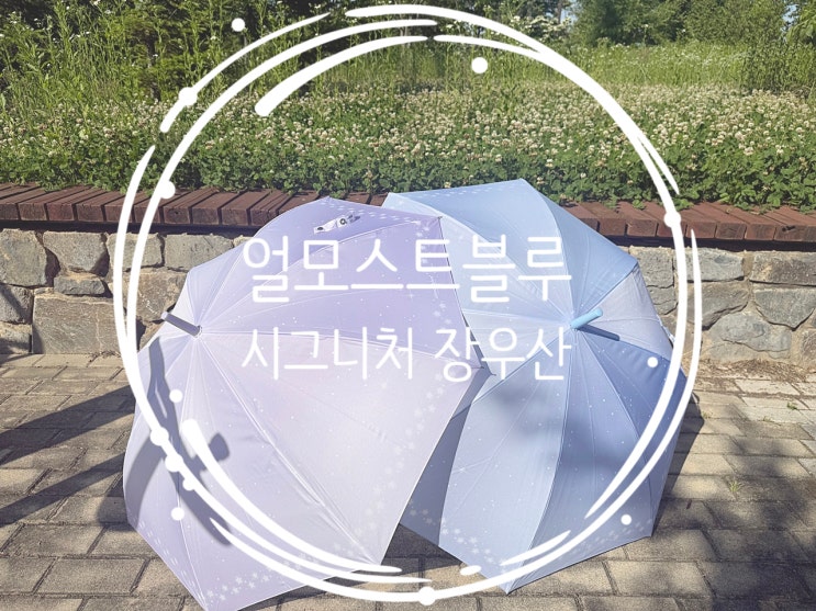 [얼모스트블루] 시그니처 장우산 비 오는 날도 감성 가득, 가볍고 튼튼한 장우산 추천! (스타라이트 블루 & 퍼플 솔직 후기)
