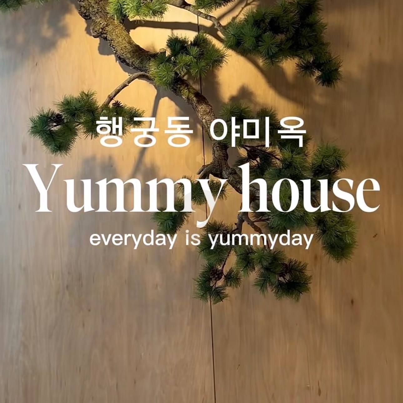 행궁동 퓨전한식 야미옥