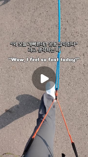콘텐츠