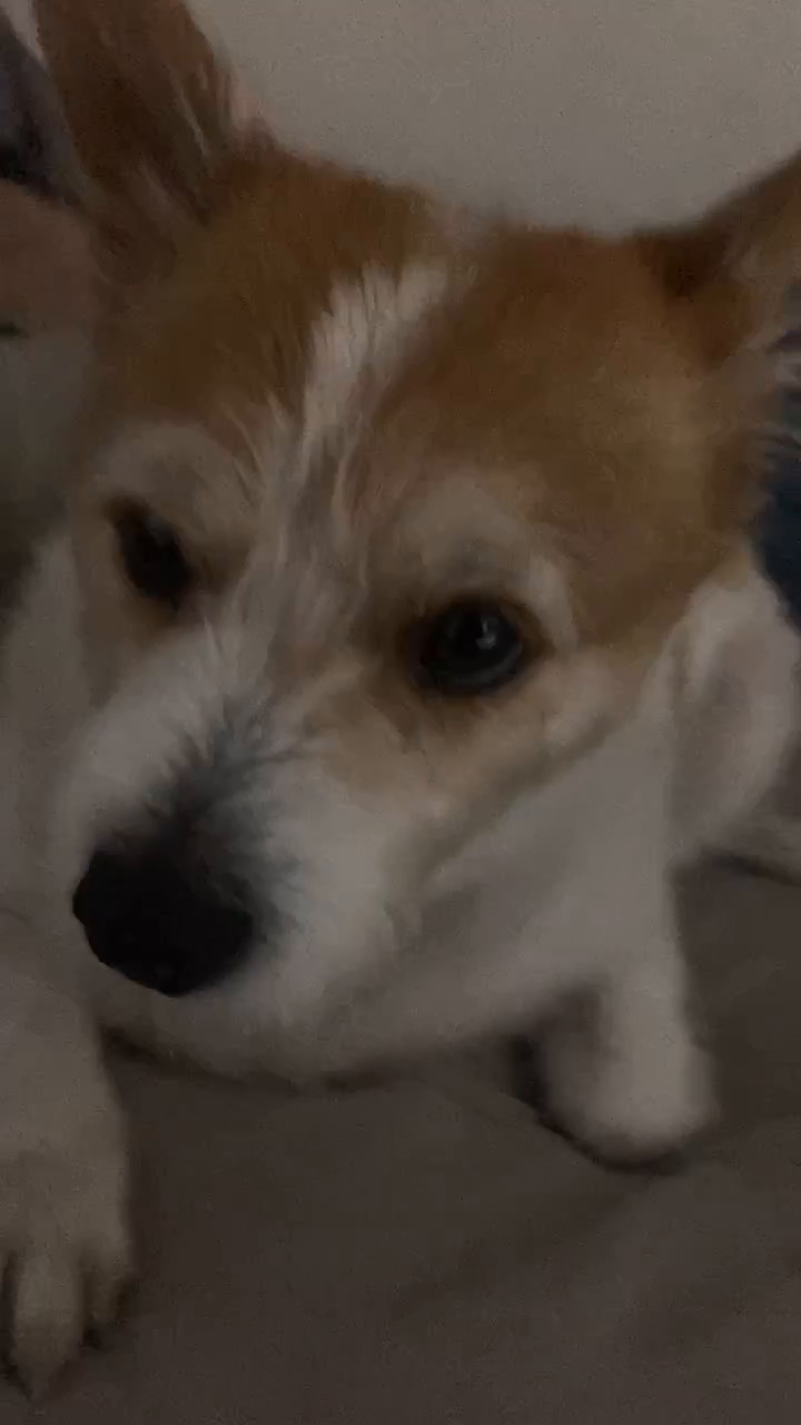 리뷰