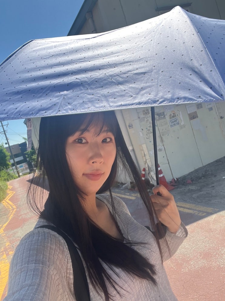 암막 우양산 추천, 얼모스트블루 체크도트 우양산 사용 후기