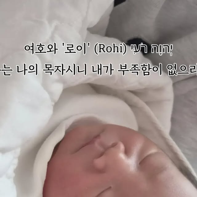 콘텐츠