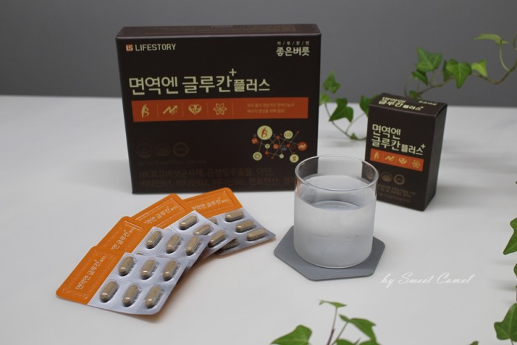 면역력 베타글루칸 온가족 면역력영양제 면역엔글루칸플러스 섭취