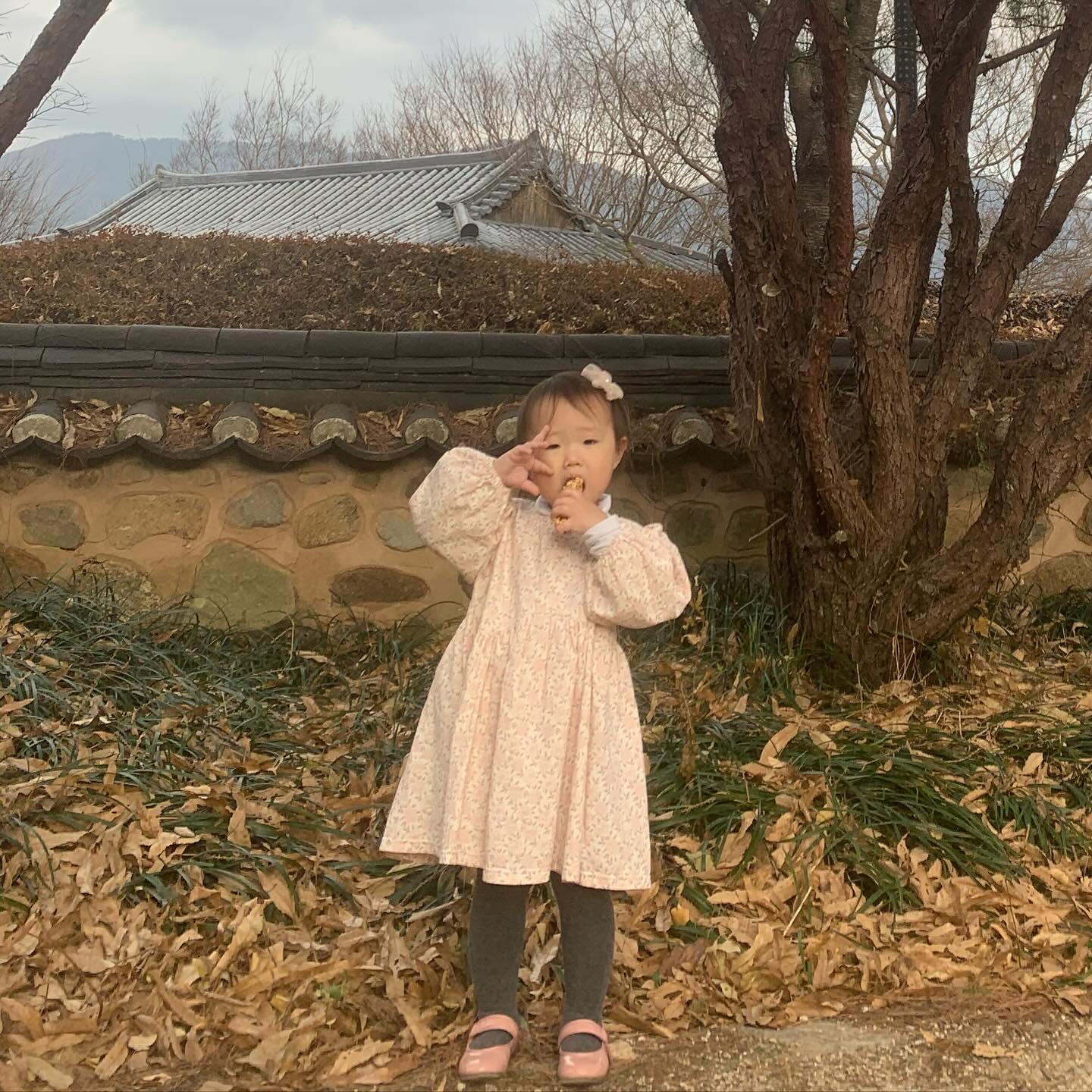 #최참판댁 #경남아이랑가볼만한곳

주차장 넓고
식당도 많고
주전부리도 많이 팔고
리니랑 추억 플러스