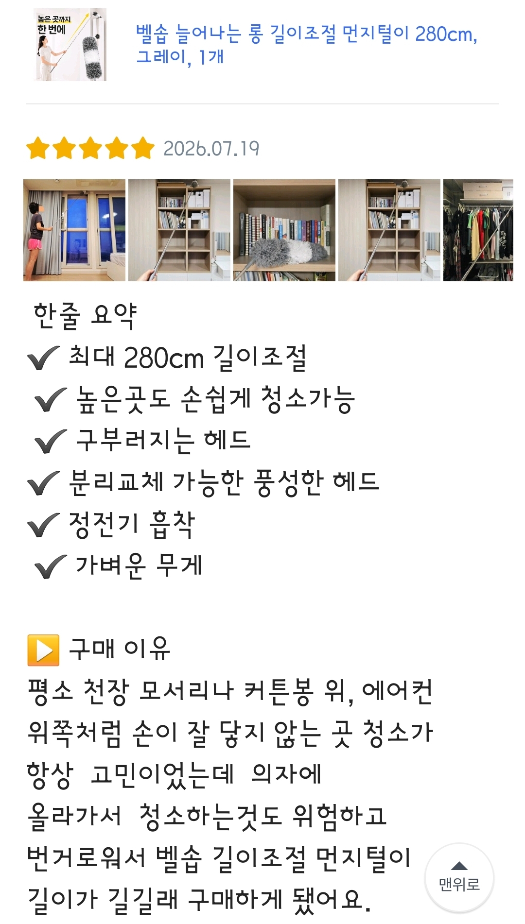롱 먼지털이