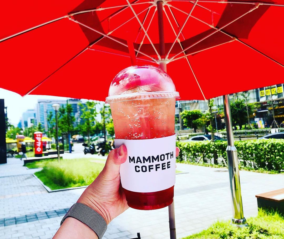임돌핀🐳 on Instagram: “#광고 저렴한 카페 라인중 젤 좋아하는 매머드커피🥤 제철과일로 만든 여름 신메뉴가 나왔다고해서 뛰어갔지영😆👉 요거 리얼자두에이드 진짜 大추