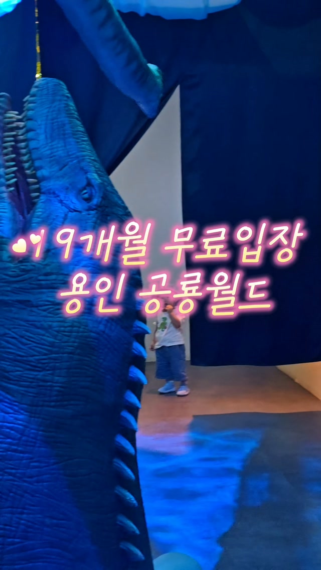 콘텐츠