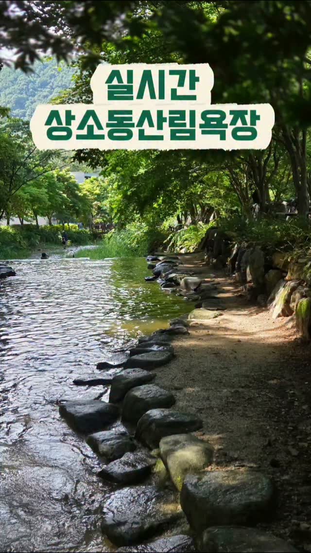 콘텐츠