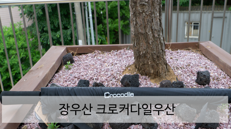 크로커다일우산 올 여름 장마 이겨내기