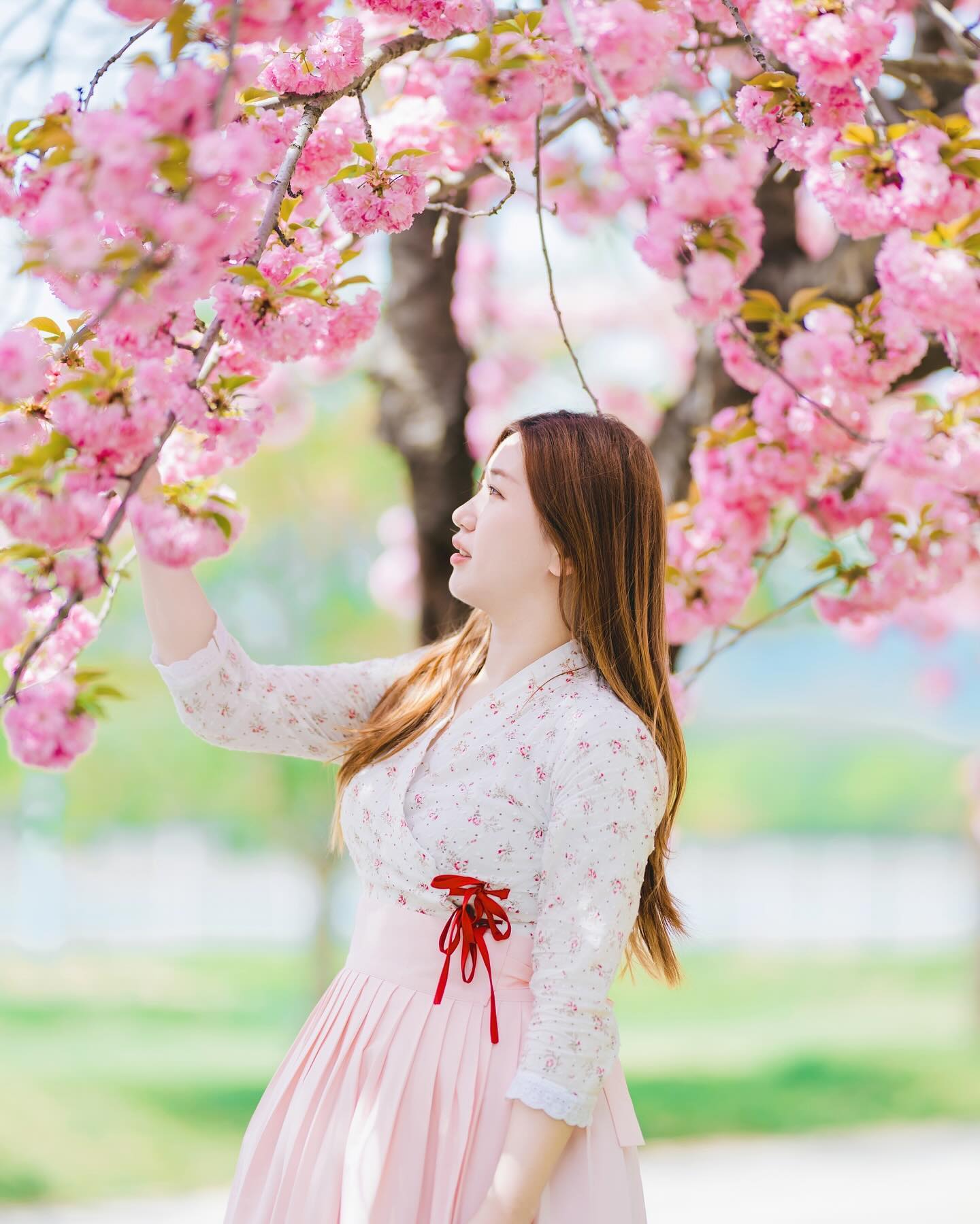 #겹벚꽃 #1티어 #미사경정공원