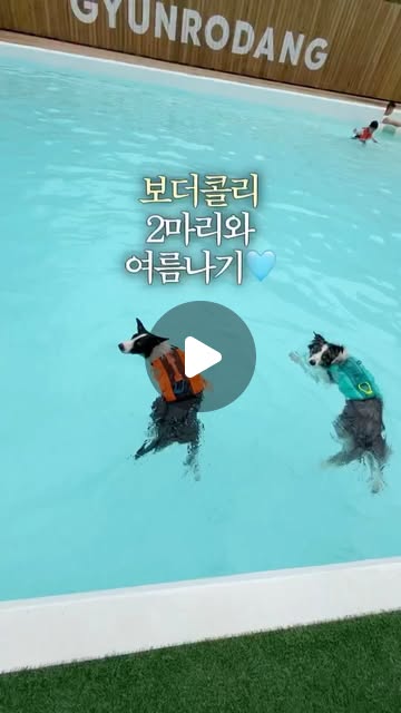 콘텐츠