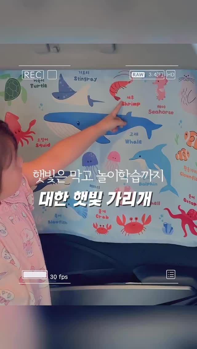 콘텐츠