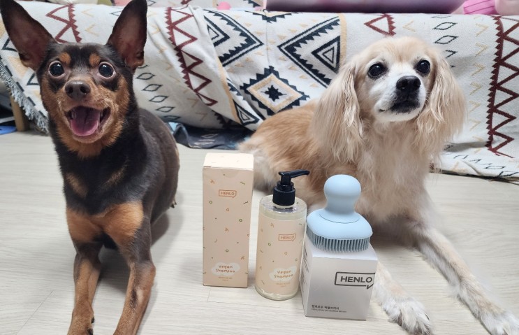 샴푸&컨디셔너 올인원 비건 인증 핸로포우 강아지 샴푸!