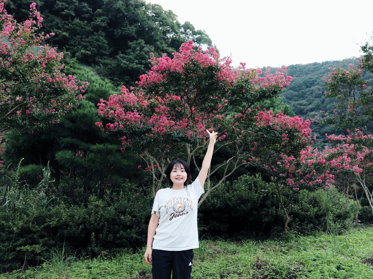 옛날 필카 느낌 📷
먼지 쌓인, 빛바랜 앨범 속 필름카메라 감성이 그립다 🎞