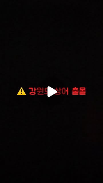 콘텐츠