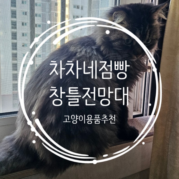 차차네점빵 창틀전망대 설치 후기  고양이가 가장 좋아하는 창가 쉼터 고양이용품추천