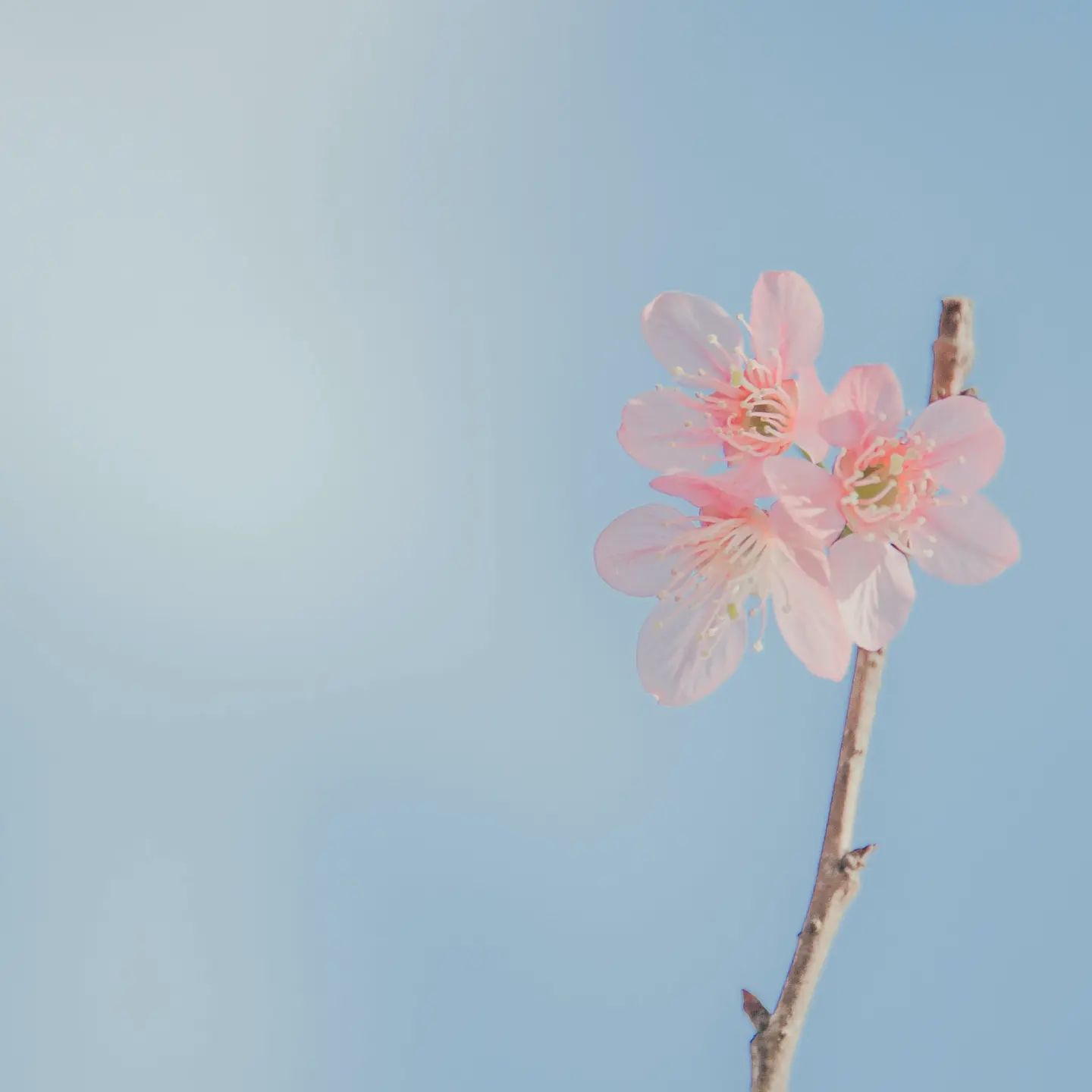 리뷰