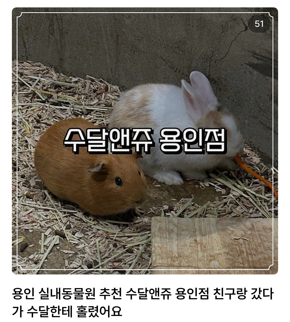 콘텐츠