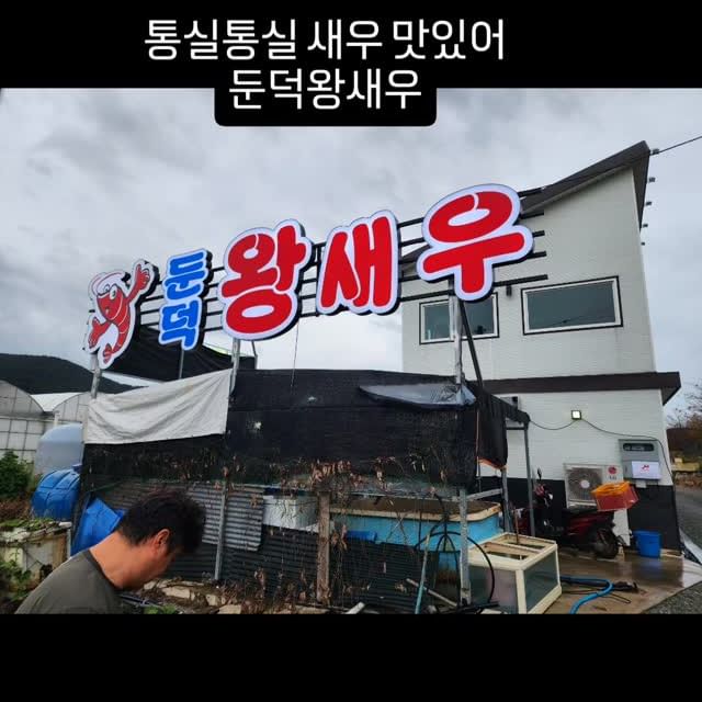 #새우철
#생새우
#둔덕생새우
#둔덕새우
#거제맛집
#거제도여행
#거제맛집추천 
#코스트코 
#코스트코반품샵
#코코반품샵
#굿프라이스
#굿프라이스거제