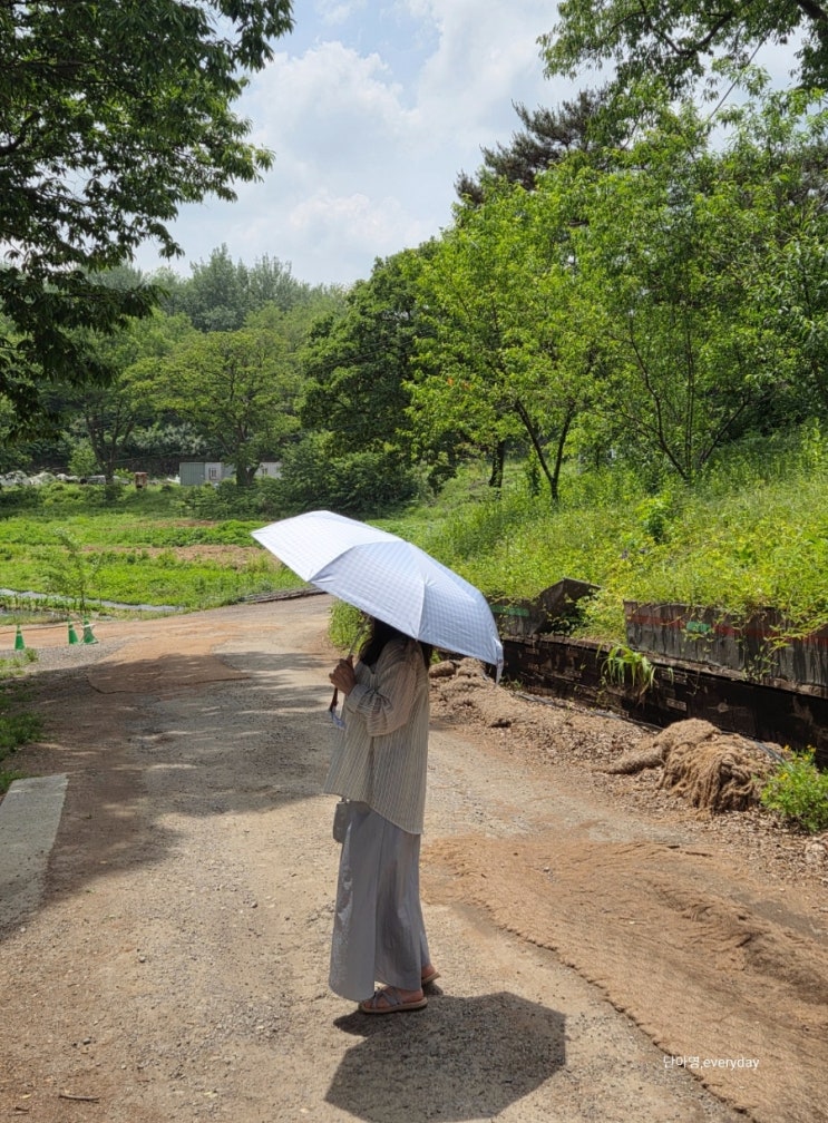 초경량 우양산 가볍고 예쁜 얼모스트블루 우양산