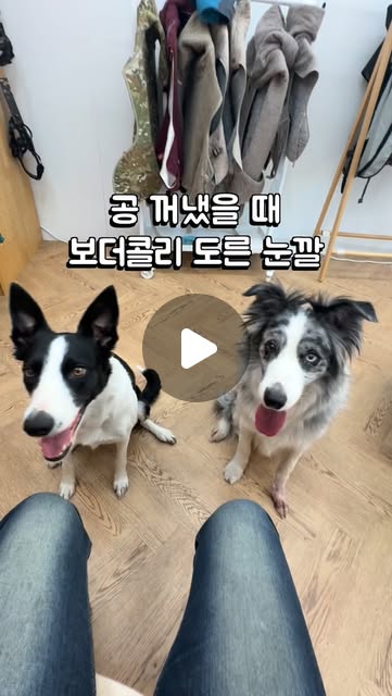 콘텐츠