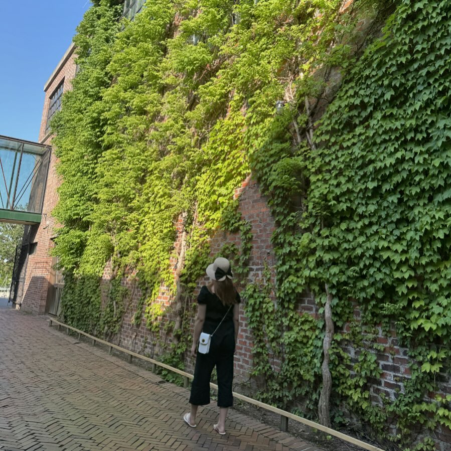 #테라로사커피공장 #날씨여름☀️