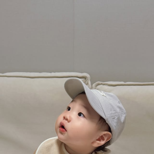 콘텐츠