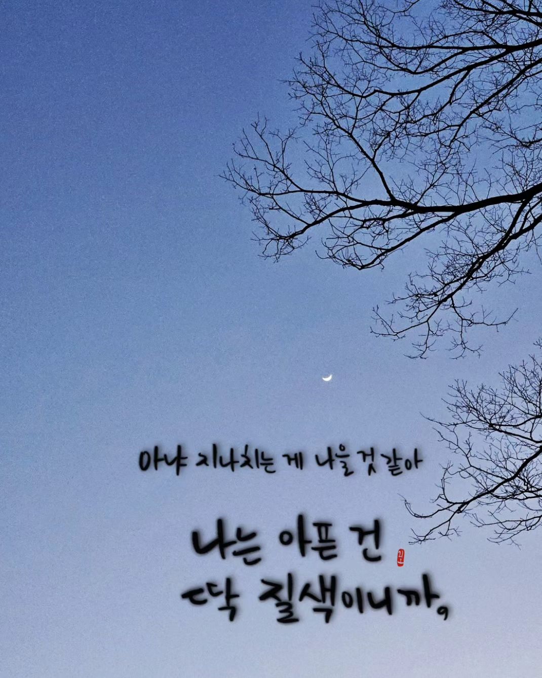 아냐 지나치는 게 나을 것 같아.
나는 아픈 건 딱 질색이니까.
.
.
#나는아픈건딱질색이니까 
#여자아이들 
#음악추천 
#포항캘리
