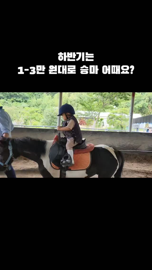 콘텐츠