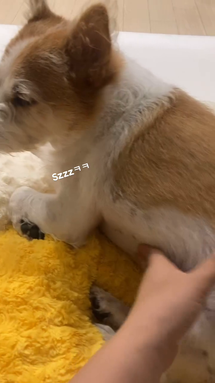 리뷰