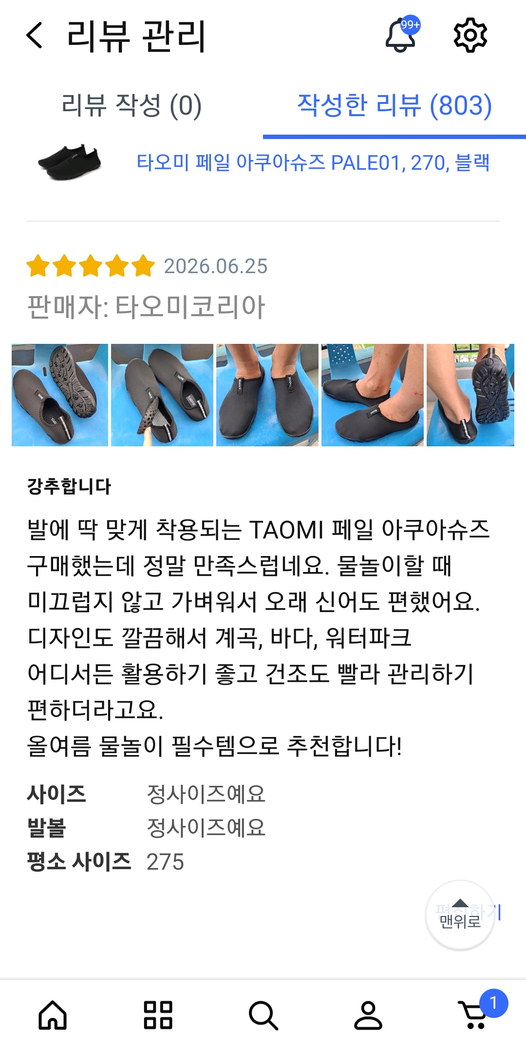[TAOMI] 페일 아쿠아슈즈