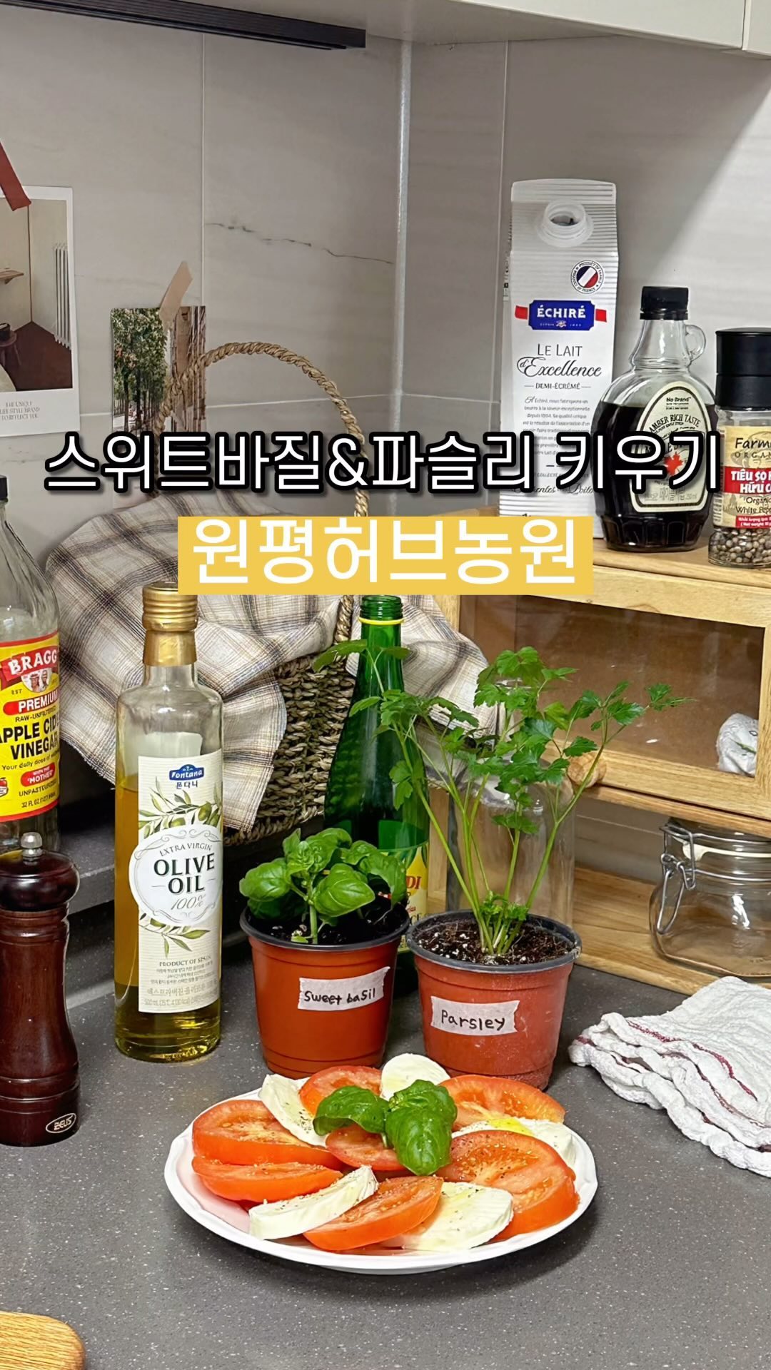 #협찬

요즘 홈가드닝에 푹빠져서 이것저것 들이고 있는데
그 중에 가장 요긴하게 쓸 수 있는게 파슬리랑 바질인 거 같더라구요♥️♥️

4대째 가족농장에서 직접 키운 원평허브농원에서 보내주신 거라 아이들이 택배로 받았음에도 싱싱하고 올곧아서 제 마음까지 힐링되는 기분🥹

집에서 적응기간 거치고 분갈이도 해주고 맛있는 카프레제샐러드 만들때에도 바질 올려 먹으니 세상 맛나네요 •᎑• 

날이 추워서 베란다에 두면 냉해입는다고 하니 사랑주며 잘 키워봐야겠어용😊😊

농촌체험교육장인데다 허브체험도 가능한 테마농장이라하니 저도 한번 방문해보고 싶어지네요🤎

#허브키우기 #파슬리 #스위트바질 #식물스타그램 #가드닝 #파슬리모정 #바질키우기 #식물 #식물키우기 #홈가드닝 #스토리앤미디어 #스토리앤체험단