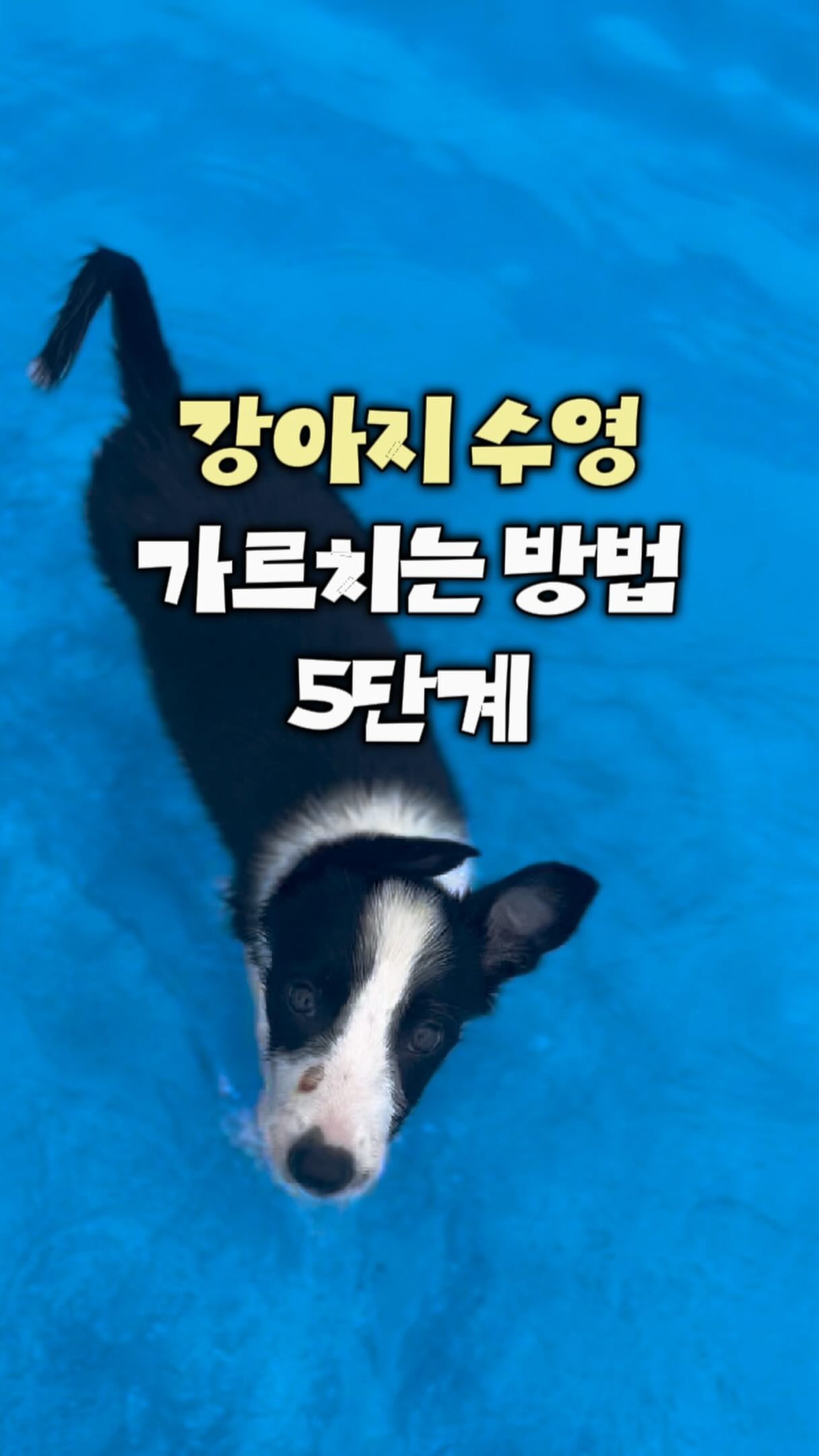 콘텐츠