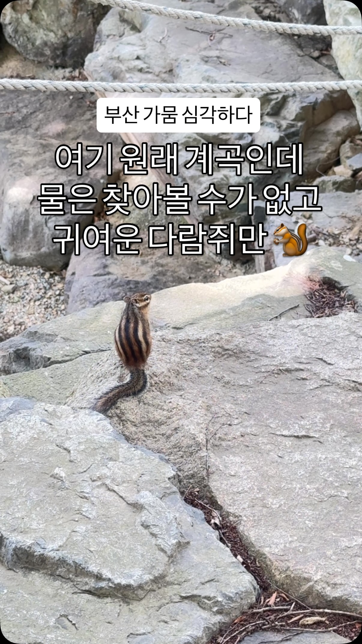 콘텐츠