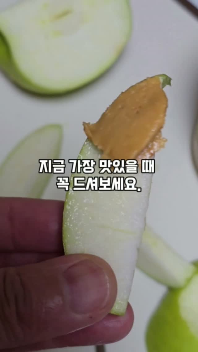 콘텐츠