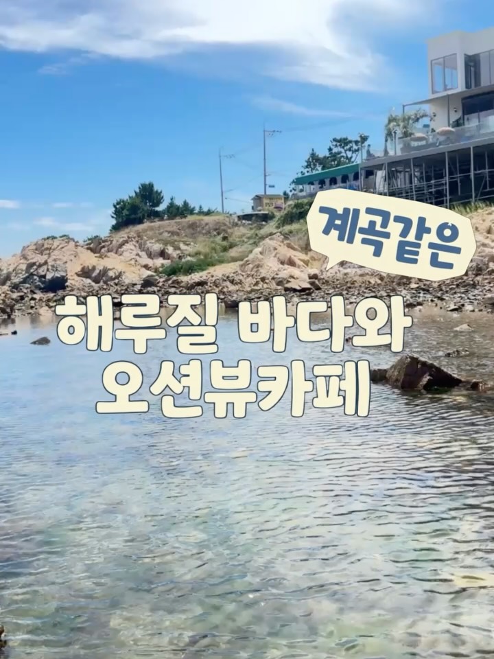 콘텐츠