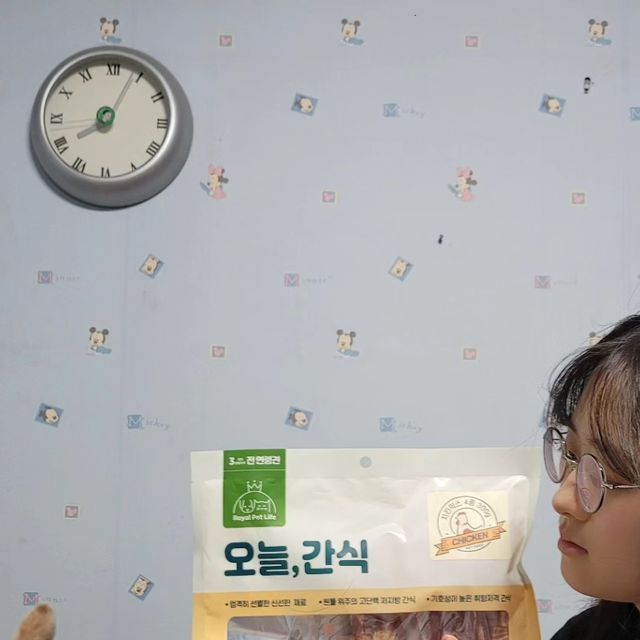 세아이의 워킹맘~^^ 맞팔 선팔 환영 on Instagram: "👉 #협찬 #로얄펫라이프 #오늘간식 ☝ 요새 비가 많이 와서 집에만 있는 몽이가 스트레스를 너무 많이 받는 것 같아서 다양한 간식을 주고 싶