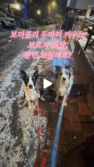 콘텐츠