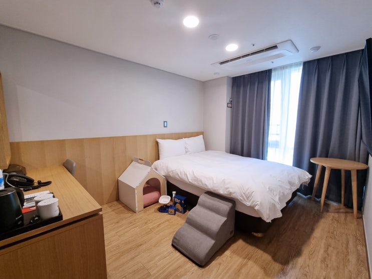 여수 가성비 호텔 추천 반려견 동반 가능 호텔｜호텔 케니 여수