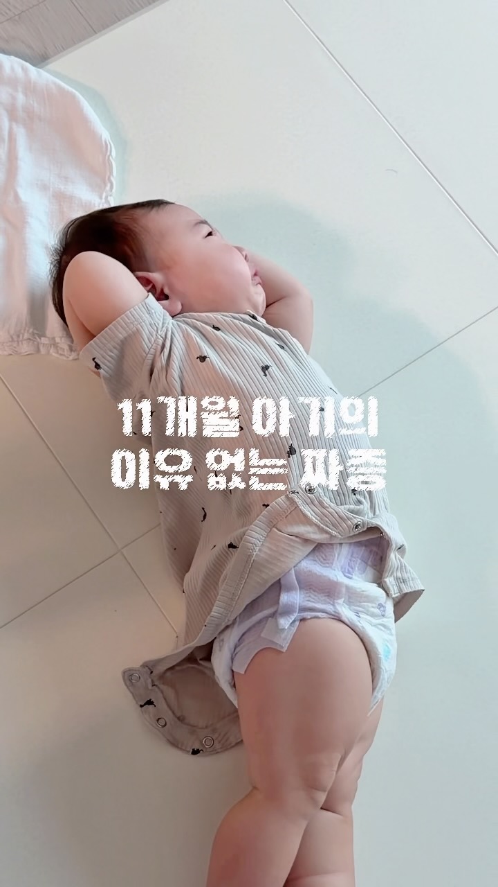 콘텐츠