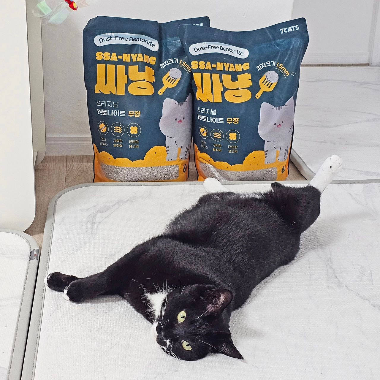 #제품제공 #싸냥
seven_cats_kr

고양이모래 유목민 손🙋‍♀️
탈취력, 응고력, 먼지날림 다 없으면서
가격도 착한 그런 모래는 없는걸까 싶었는데
싸냥 벤토모래를 써보니 완전 만족👍

📍99.8% 더스트프리
흡진미세먼지 공법으로 먼지 날림이 없어
방 안에서 사용해도 집사비염에 안심이에요.
먼지 발생이 거의 없어서 넘 편안하더라고요
손으로 만져봐도 묻어남이 없어서
모래가루나 먼지가 전혀 없어용♥️

📍100% 내츄럴 소디움 벤토나이트
소디움이 많이 들어가 흡수력이 좋아
응고력이 대박이에요~
응고가 잘 되니까 바닥에 눌지 않아서
감자캐기 엄청 편하더라고요 ㅎㅎ
소디움 벤토라 탈취력도 만족^^

📍유통마진을 줄인 합리적인 가격
kg당 1,700원대로 가격도 무척 착해요!
다묘가정에게 이 가격에 이런 퀄 좋은 모래는 사랑입니다💕

📍신제품 런칭 이벤트 및
스토어 오픈 할인 행사 진행중이에용😻
.
.

#고양이모래 #벤토나이트모래 #먼지없는고양이모래